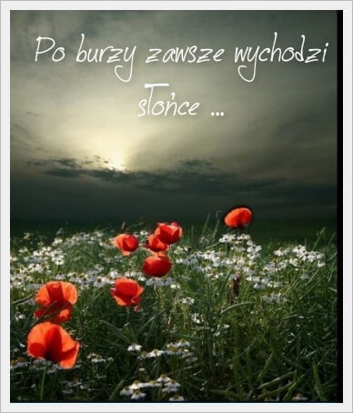 Czerwone maki i białe kwiaty na łące pod burzowym niebem z napisem Po burzy zawsze wychodzi słońce
