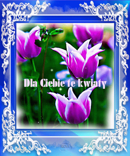 Fioletowe tulipany w ozdobnej niebieskiej ramce z napisem Dla Ciebie te kwiaty