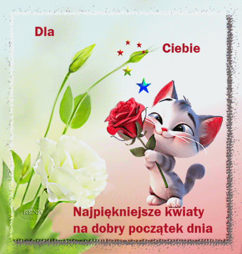 U�miechni�ty kot trzyma czerwon� r��, obok bia�y kwiat eustomy i napis Dla Ciebie