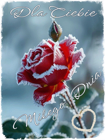 Kartka 🌹Dla Kogo� bardzo mi�ego!