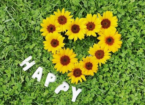 S�oneczniki u�o�one w kszta�cie serca na zielonej trawie obok napisu HAPPY