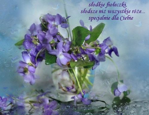 Bukiet fioletowych fio�k�w w wazonie na deszczowym tle z napisem specjalnie dla Ciebie