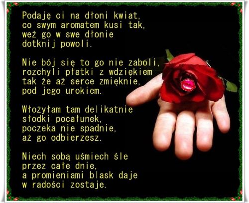 D�o� trzyma czerwon� r�� z ubytkami w p�atkach przypominaj�cymi usta, obok wiersz o mi�o�ci
