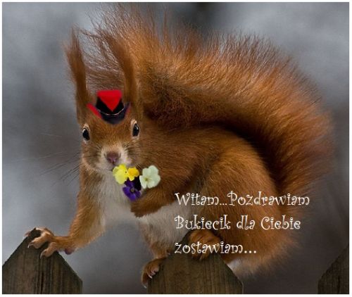 Kartka Witam. Pozdrawiam. Bukieciek dla Ciebie zostawiam: