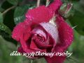 dla wyj�tkowej osoby