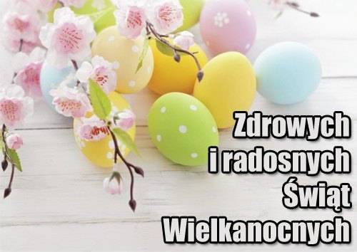 Kolorowe pisanki, gałązki kwitnącej wiśni na drewnianym tle i napis Zdrowych i radosnych Świąt Wielkanocnych