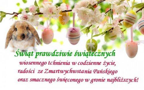 Puszysty królik, pisanki i kwitnące gałęzie drzew na tle życzeń wielkanocnych