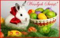 Radosnych witt Wielkanocnych!