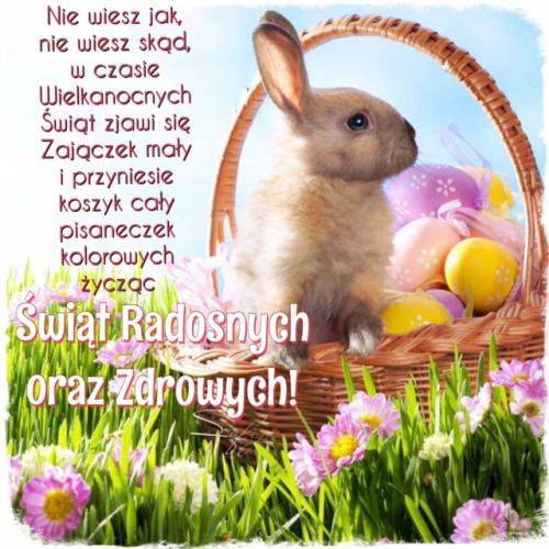 Mały króliczek w wiklinowym koszyku z kolorowymi pisankami wśród wiosennych kwiatów i życzenia wielkanocne