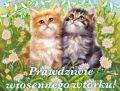 Prawdziwie wiosennego wtorku!