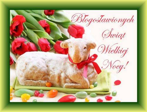 Wielkanocny baranek z ciasta z czerwon� wst��k�, czerwone tulipany i napis B�ogos�awionych �wi�t Wielkiej Nocy