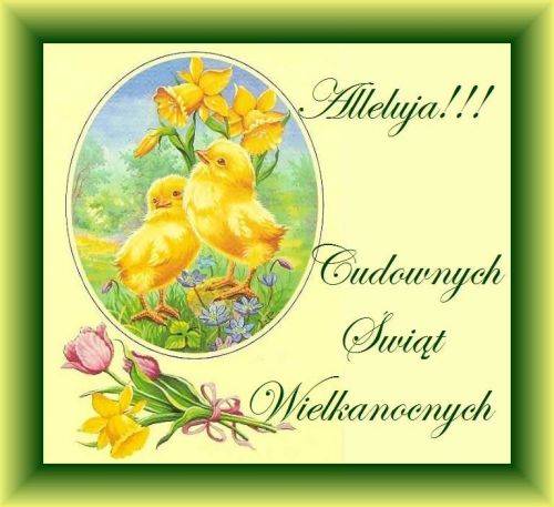 Dwa ��te kurczaki, �onkile, tulipany i napis Alleluja Cudownych �wi�t Wielkanocnych w zielonej ramce