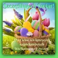 🍀Szcz�liwych �wi�t!