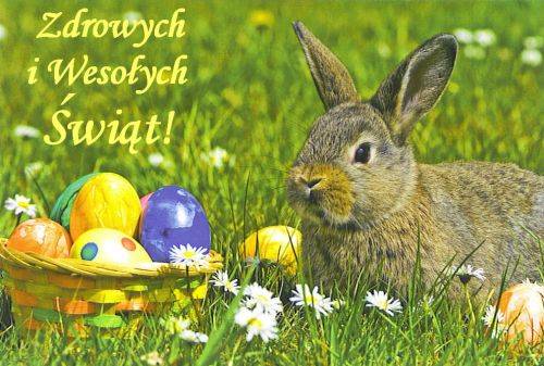 Szary królik na trawie obok koszyka z kolorowymi pisankami i napisem Zdrowych Świąt