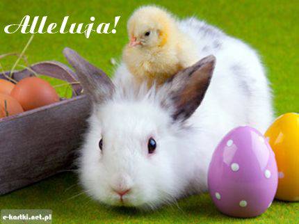 Kartka Weso�ych �wi�t! Alleluja!
