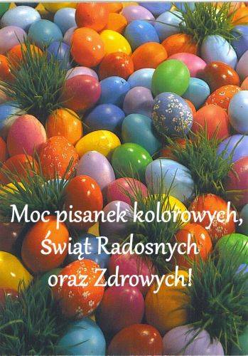 Wielkanocne kolorowe pisanki ozdobione trawą i życzenia Świąt Radosnych oraz Zdrowych