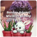  🐰Pi�knej Wielkiej Soboty �ycz�!