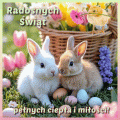 🐥Radosnych �wi�t🌸