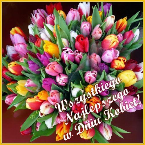 Kartka W Dniu Kobiet tulipany dla Pani!