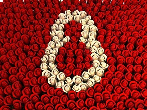 Cyfrasiem z bia�ych r� u�o�ona w tle z czerwonych r� na Dzie� Kobiet