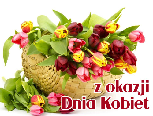 Wiklinowy kosz pe�en kolorowych tulipan�w oraz napis z okazji Dnia Kobiet na bia�ym tle