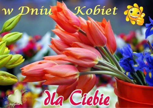 Buket pomara�czowych tulipan�w w czerwonym wazonie z napisem w Dniu Kobiet Dla Ciebie