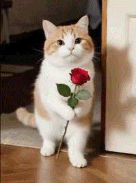 Kartka 🌹  Dla Ciebie z okazji Dnia Kobiet!