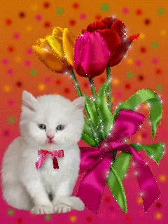 Ma�y bia�y kotek z r�ow� kokard� siedzi obok bukietu kolorowych tulipan�w przewi�zanych wst��k�