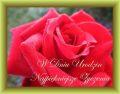 W Dniu Urodzin Najpi�kniejsze �yczenia!