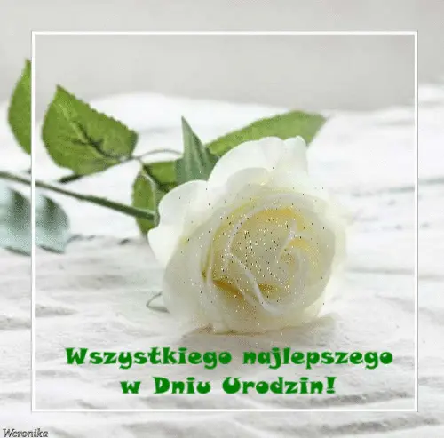 Bia�a r�a z zielonymi li��mi na jasnym tle i zielony napis Wszystkiego najlepszego w Dniu Urodzin!