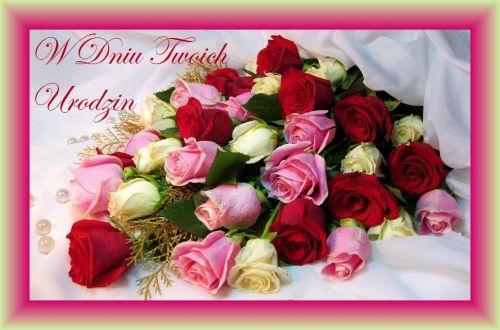 Bukiet czerwonych, r�owych i bia�ych r� na bia�ym tle z napisem W Dniu Twoich Urodzin