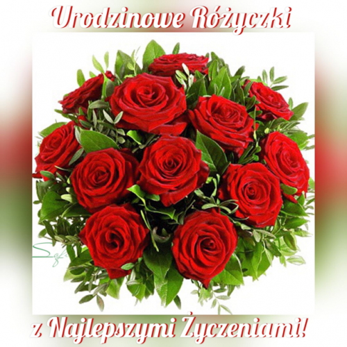 Buket czerwonych r� z zielonymi li��mi, napisy Urodzinowe R�yczki oraz z Najlepszymi �yczeniami