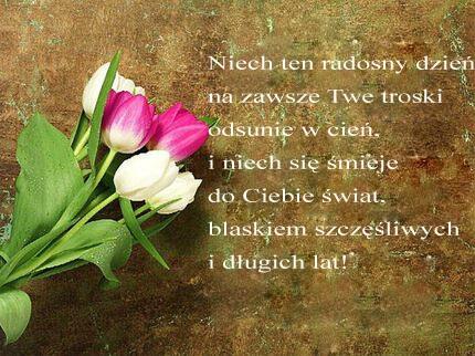 Bukiety bia�ych i r�owych tulipan�w na tle z �yczeniami i br�zow� faktur�