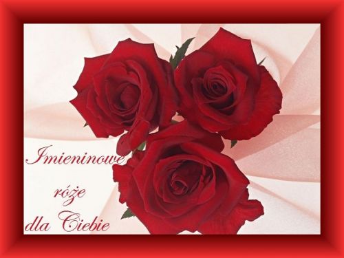Trzy czerwone róże w czerwonej ramce z napisem Imineninowe róże dla Ciebie