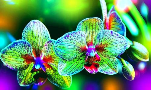 Kartka Wszystkiego najlepszego w dniu imienin