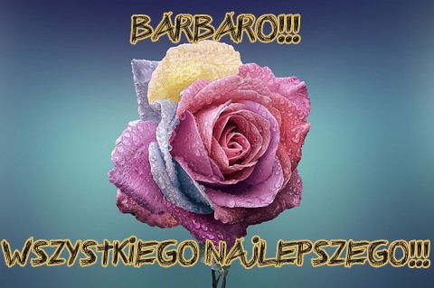 Kolorowa róża pokryta kroplami rosy na niebieskim tle z życzeniami dla Barbary