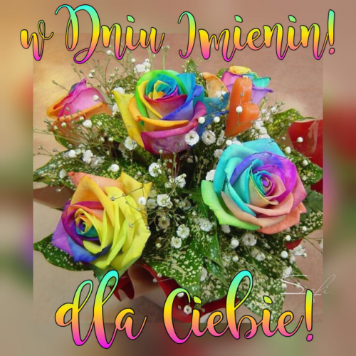 Buket wielokolorowych r� z gips�wk� oraz kolorowy napis W Dniu Imienin dla Ciebie