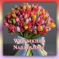 Bukiet najpiękniejszych życzeń imieninowych!