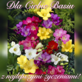 🌸Wszystkiego Najlepszego Basiu!
