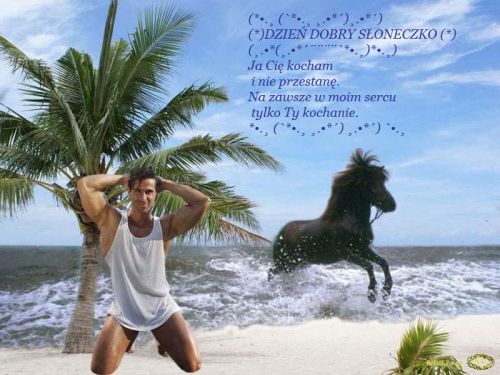 U�miechni�ty, umi�niony m�czyzna na pla�y, palma, skacz�cy czarny ko� i napis Dzie� dobry s�oneczko