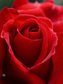 Kartka Dla Ciebie KOCHANIE...