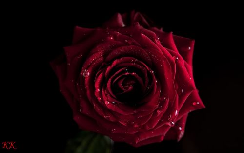 Kartka Dla Ciebie KOCHANIE...