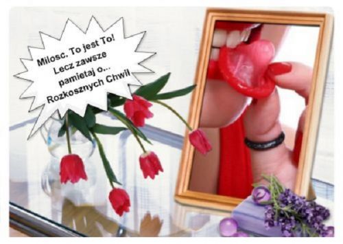 Kartka Rozkosznych Chwil...