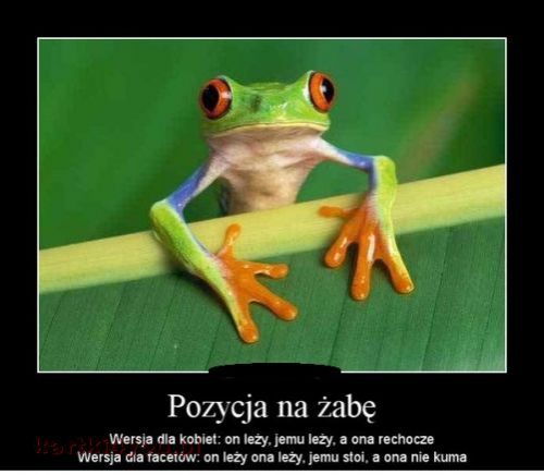 Kartka Pozycja "na �ab�" :)))