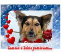 Zawsze o Tobie pamietam:)
