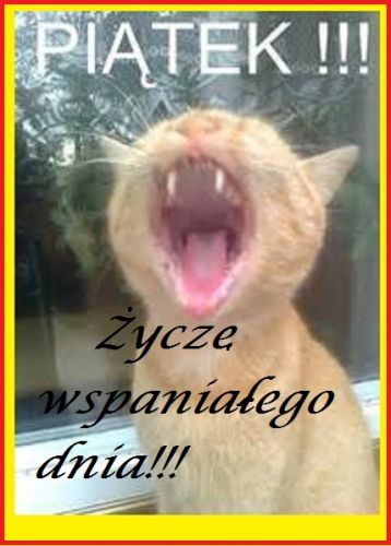 Rudy kot z szeroko otwartym pyszczkiem i napisy Pi�tek i �ycz� wspania�ego dnia