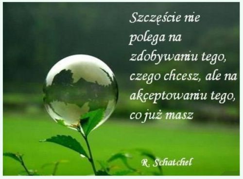 Ba�ka mydlana na zielonej ga��zce w plenerze z cytatem o szcz�ciu i podpisem autora