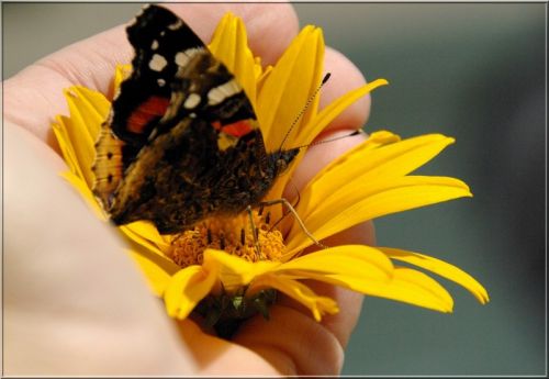 Kartka w Twojej d�oni...