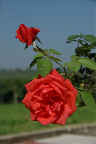 Kartka b�d� pami�ta�...