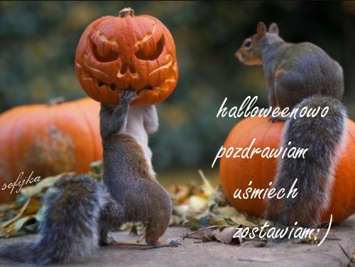 Kartka Halloweenowe pozdrowienia